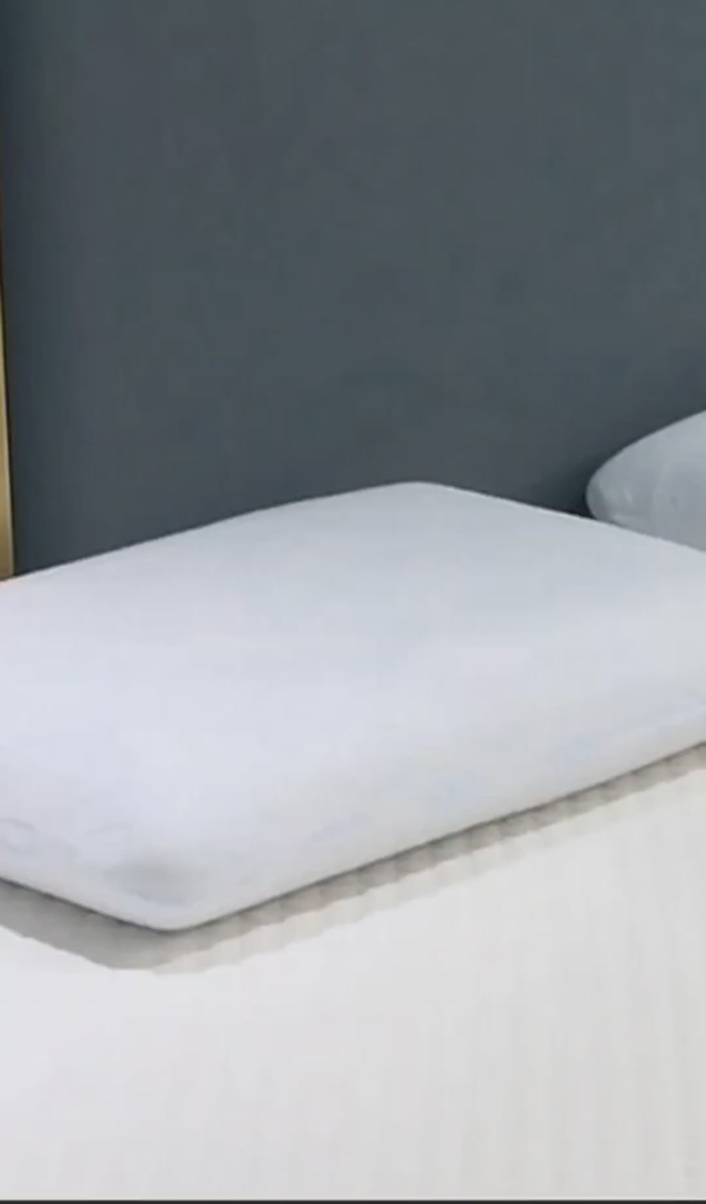 Sovereign Latex Pillow